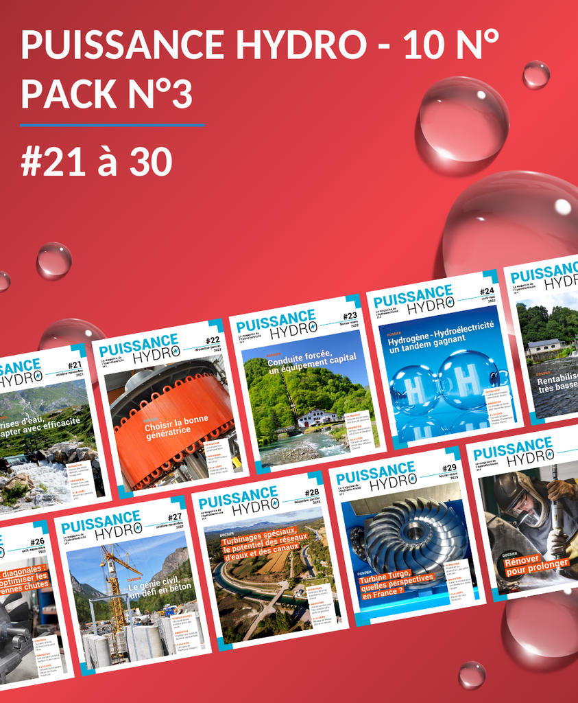 PACK N°3 - 10 Numéros - #21 à 30