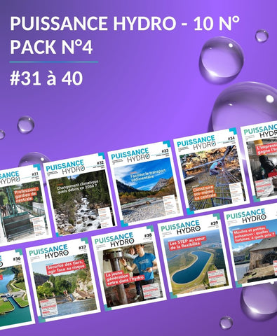 PACK N°4 - 10 Numéros - #31 à 40 VERSION NUMÉRIQUE